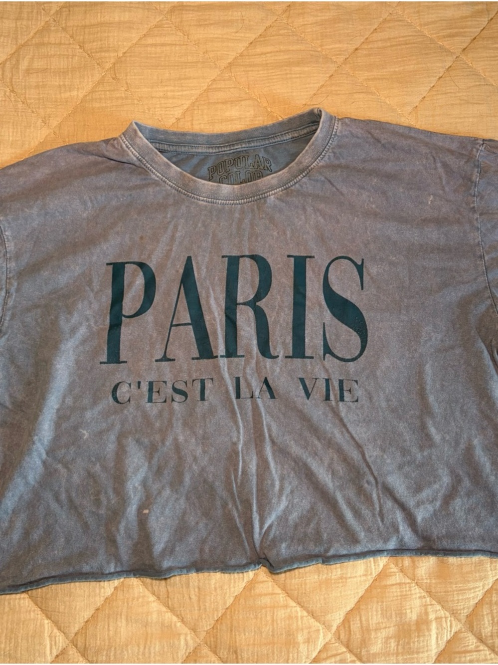 Popular Color Cropped Paris C'est La Vie Graphic Tee Large
